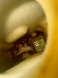 1990-95 Coolant Fluid Reservoir
